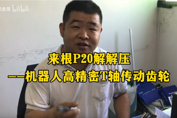 來(lái)根P20解解壓--機(jī)器人精密T軸傳動(dòng)齒輪